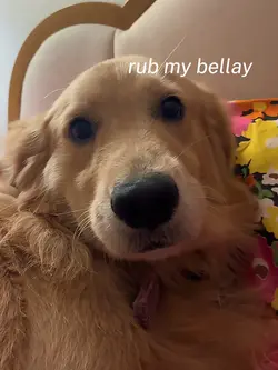 I LOVE HER
