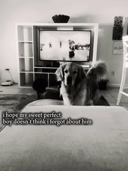 he took him away..