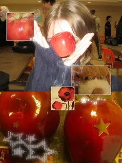 5 pics foto picture