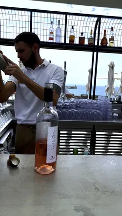 Cocktails 