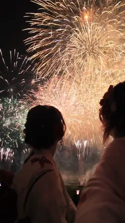 fireworks new year 🎆