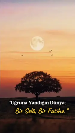 Yalan..