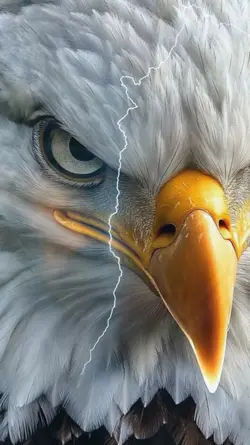 Eagle AI