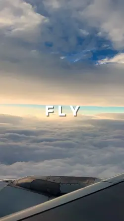 Fly flight