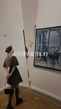 STOP MOTION