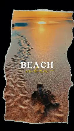 Beach Vibes