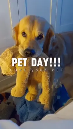 you've got a friend 