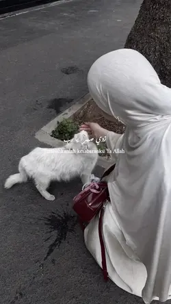 ya rab 