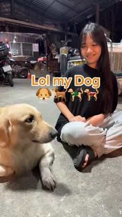My Dog