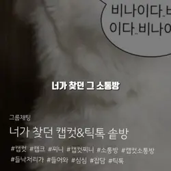 들어와!!!