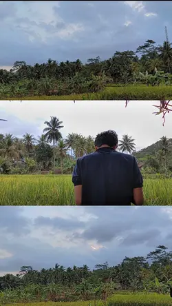 3 random video 