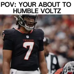 Voltz Diss 