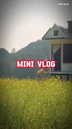 MINIVLOG