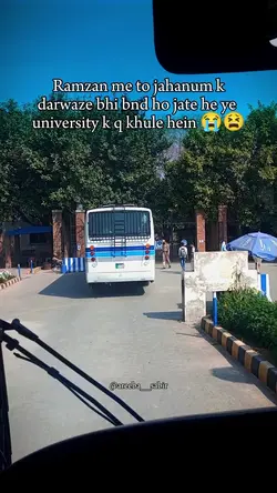 University Vibes