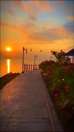 SLOW CHUYỂN MÀU
