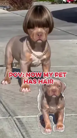 Has Hair