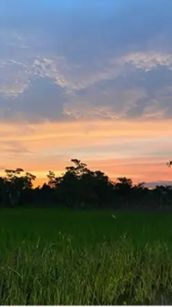 sunset aesthetic
