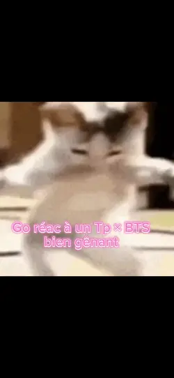 Réac à Tp × BTS 