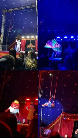 Dia de circo 🎪 
