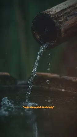 Ai bỏ mình cũng