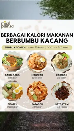 Template Infografis