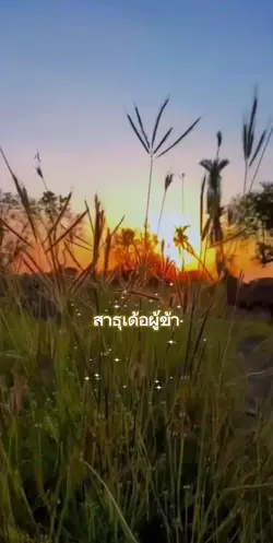 วอนปู่อือลือ
