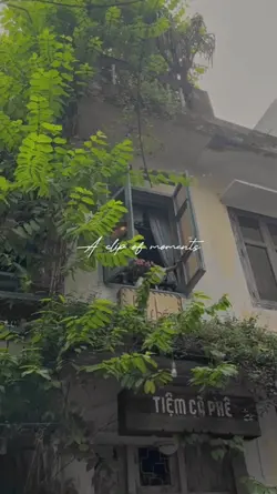 a clip of moments