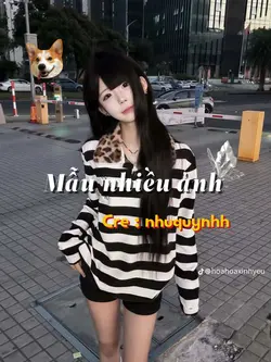 Nhieu ảnh