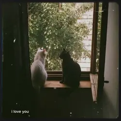 tinggalkan komentar