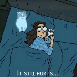 Miss cat