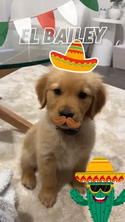Mexico 🇲🇽