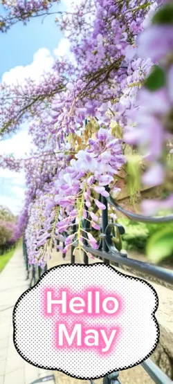 Hello May