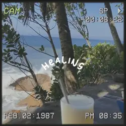 mini vlog