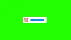 instagram button