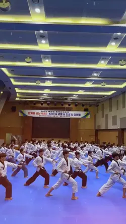 Taekwondo Poomsae