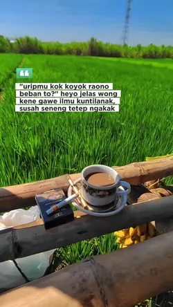 Bahan sw