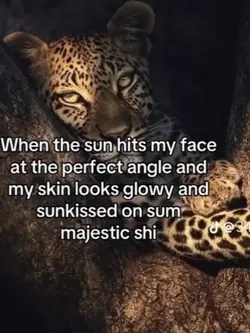 sunkissed 