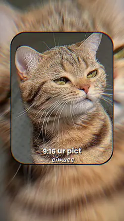 VERSI NO MIRROR 
