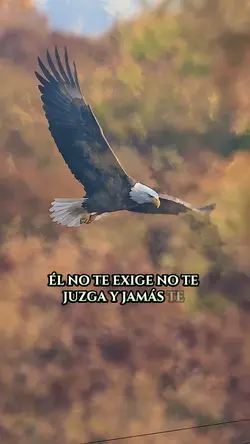 Dios nunca te deja 