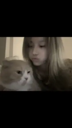 追星碎片
