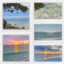 beachdump