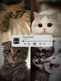 4 pics 1 song