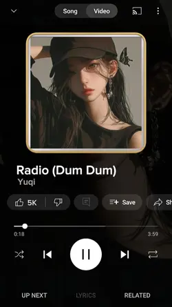 YouTube app music