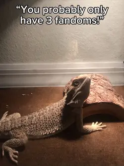 hehe >:3