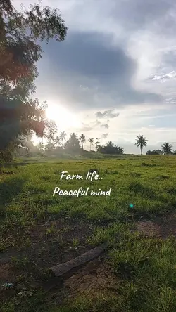 farm