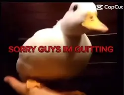 Quitting 😖