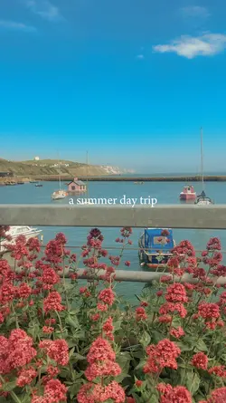 Summer day trip