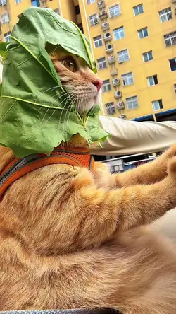 Kerja Bos