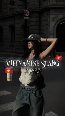 Vietnamese Slang~ 2p