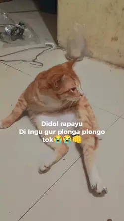 meme